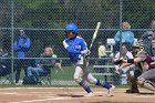 Softball vs Springfield  Wheaton College Softball vs Springfield College. - Photo by: KEITH NORDSTROM : Wheaton, Baseball